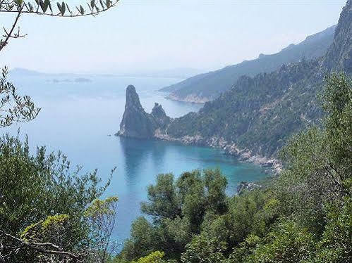 Mediterraneo Hotel